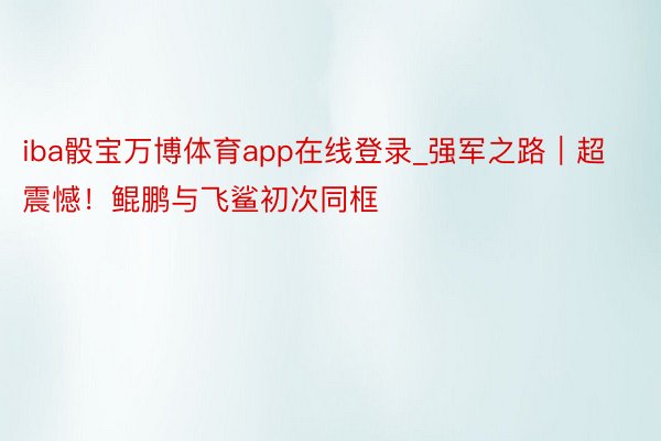 iba骰宝万博体育app在线登录_强军之路｜超震憾！鲲鹏与飞鲨初次同框