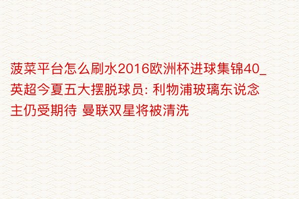 菠菜平台怎么刷水2016欧洲杯进球集锦40_英超今夏五大摆脱球员: 利物浦玻璃东说念主仍受期待 曼联双星将被清洗