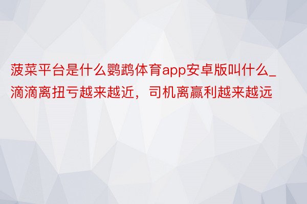 菠菜平台是什么鹦鹉体育app安卓版叫什么_滴滴离扭亏越来越近，司机离赢利越来越远